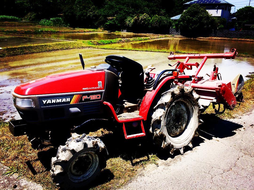 season for planting harvest of rice.