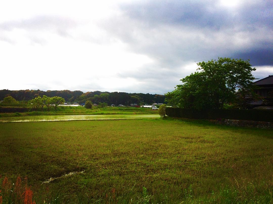 日本の古民家 #空き家 akiya empty house #過疎 depopulation #okunippon #issue …okunippon.com/ photo by t.yokoyama